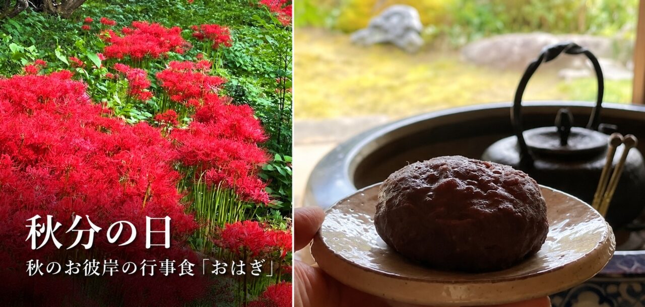 秋分の日のヒガンバナとおはぎ