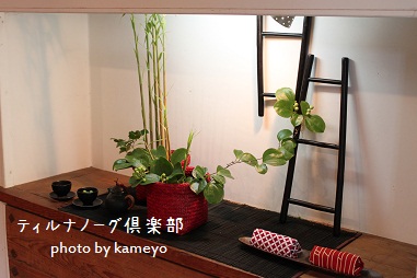 ニッチ横