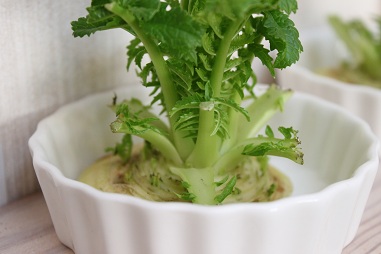 大根葉