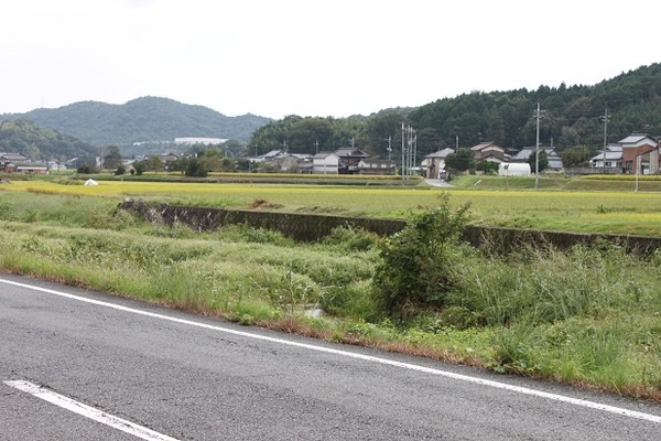 田園