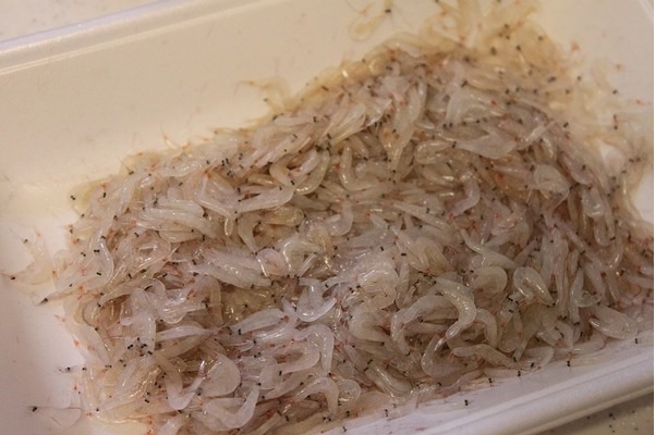 衣がサックサクに 濃厚な風味 れんこんのアミエビ衣レシピ Kameyo 料理家 かめ代 衣がサックサクに 濃厚な風味 れんこんのアミエビ衣レシピ Kameyo 料理家 かめ代